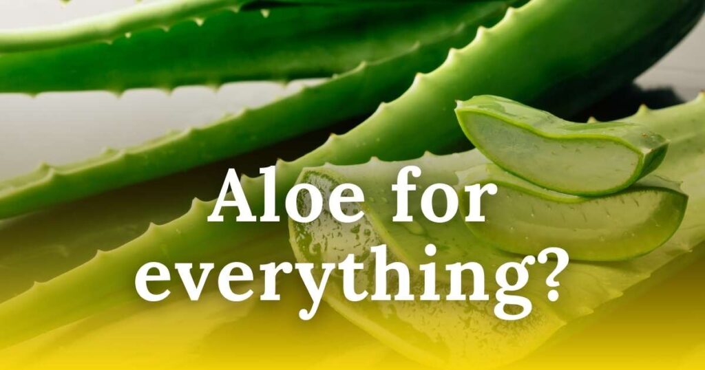 aloe