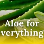 aloe